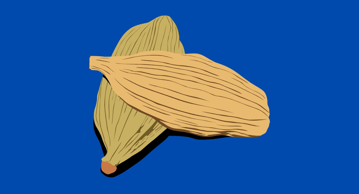 कार्डममचा वापर त्वचेसाठी कसा उपयुक्त आहे हे जाणून घ्या. झळाळी, क्लिंजिंग, आणि पुनरुज्जीवन करणाऱ्या कार्डममच्या 10 फायदे शोधा.