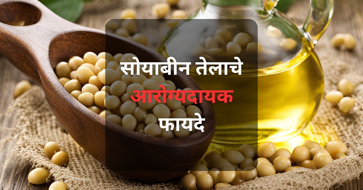 सोयाबीन तेलाचे फायदे जाणून घ्या आणि त्याचा नियमित वापर तुमच्या आरोग्यासाठी कसा फायदेशीर ठरू शकतो.