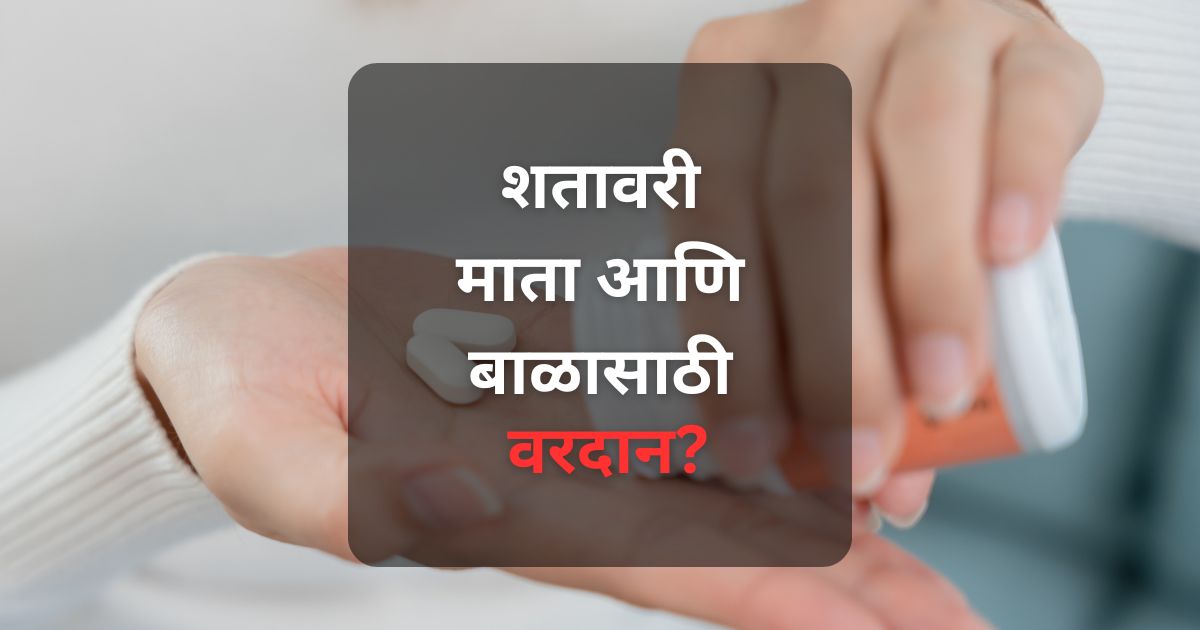 शतावरीचे फायदे, वापर, नवीन मातांसाठीचे महत्त्व, फायदे-तोटे जाणून घ्या. benefits of Shatavari, its uses, importance for new mothers, advantages and disadvantages