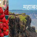 Mahabaleshwar महाबळेश्वर: पाहाण्यासारखी ठिकाणे, प्रसिद्ध महाबळेश्वर मंदिर आणि पर्यटन Tourist मार्गदर्शक Guide